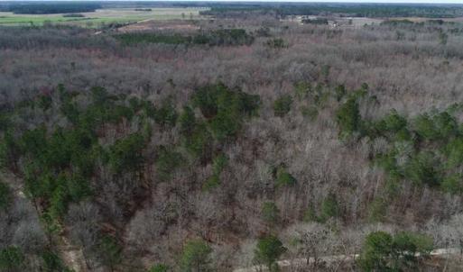 Photo of SOLD!!  115 Acres of Hunting Land For Sale in Robeson County NC!