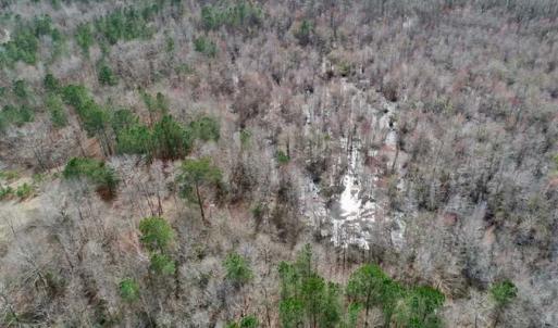 Photo of SOLD!!  115 Acres of Hunting Land For Sale in Robeson County NC!