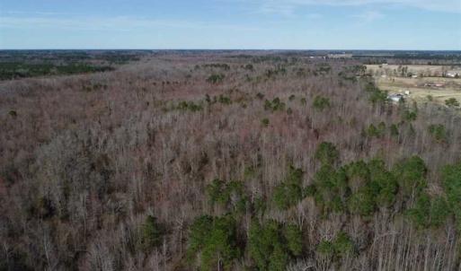 Photo of SOLD!!  115 Acres of Hunting Land For Sale in Robeson County NC!