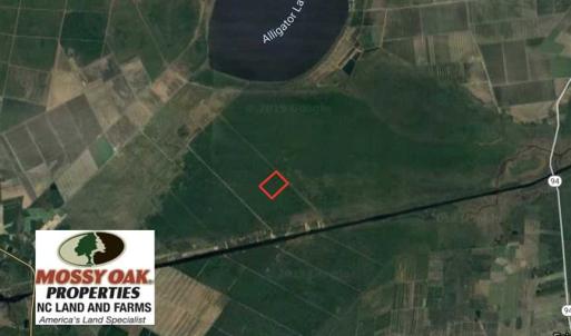 Photo of SOLD!!  120 Acres of Bear Hunting Land For Sale in Hyde County NC!