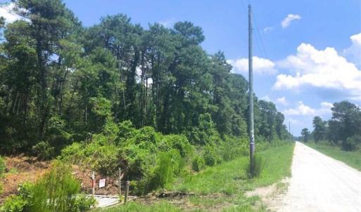 Photo of SOLD!!  120 Acres of Bear Hunting Land For Sale in Hyde County NC!