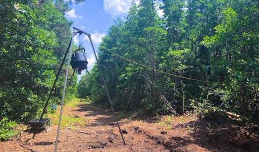 Photo of SOLD!!  120 Acres of Bear Hunting Land For Sale in Hyde County NC!