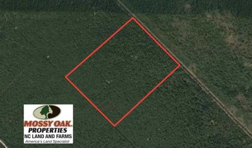 Photo of SOLD!!  120 Acres of Bear Hunting Land For Sale in Hyde County NC!