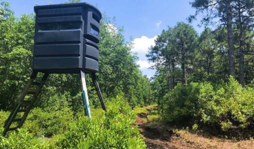 Photo of SOLD!!  120 Acres of Bear Hunting Land For Sale in Hyde County NC!