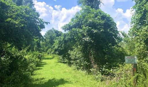 Photo of SOLD!!  120 Acres of Bear Hunting Land For Sale in Hyde County NC!