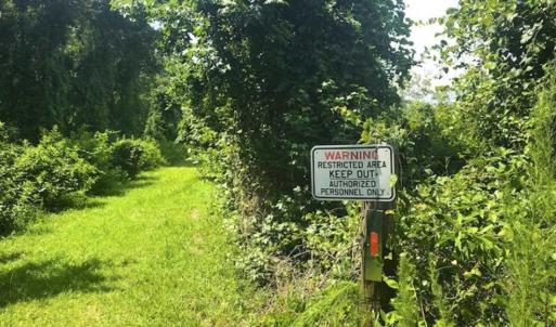 Photo of SOLD!!  120 Acres of Bear Hunting Land For Sale in Hyde County NC!