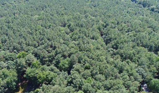 Photo of SOLD!!  3 Acres of Residential Land For Sale in Accomack County VA!