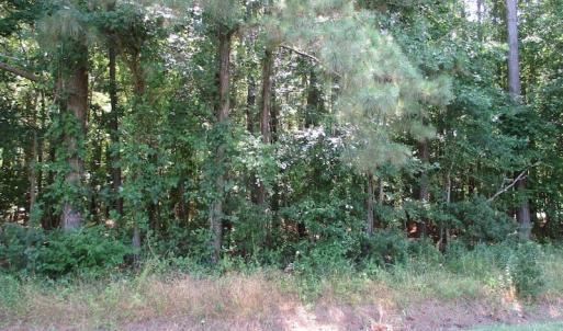 Photo of SOLD!!  3 Acres of Residential Land For Sale in Accomack County VA!
