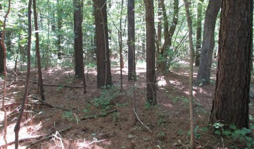 Photo of SOLD!!  3 Acres of Residential Land For Sale in Accomack County VA!