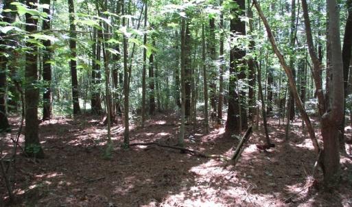 Photo of SOLD!!  3 Acres of Residential Land For Sale in Accomack County VA!