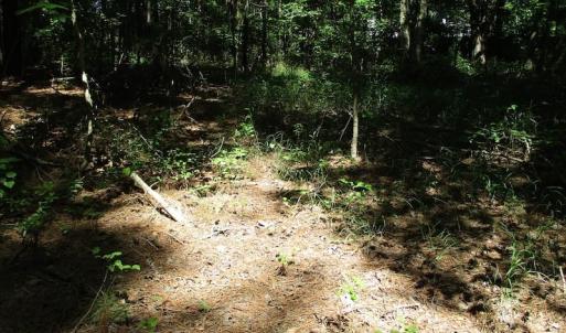 Photo of SOLD!!  3 Acres of Residential Land For Sale in Accomack County VA!