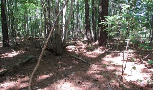 Photo of SOLD!!  3 Acres of Residential Land For Sale in Accomack County VA!
