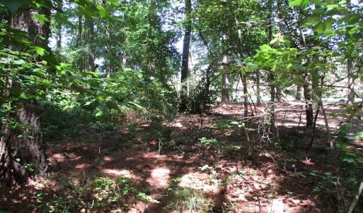 Photo of SOLD!!  3 Acres of Residential Land For Sale in Accomack County VA!