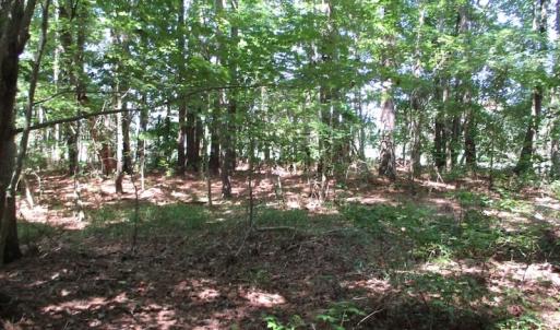 Photo of SOLD!!  3 Acres of Residential Land For Sale in Accomack County VA!