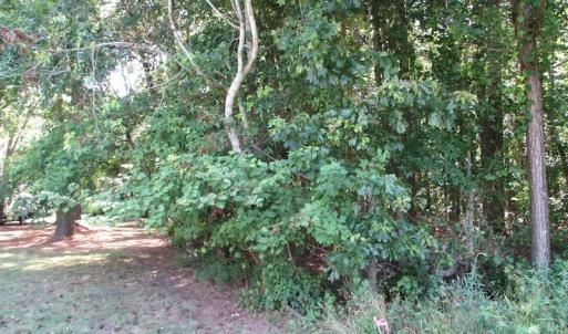 Photo of SOLD!!  3 Acres of Residential Land For Sale in Accomack County VA!