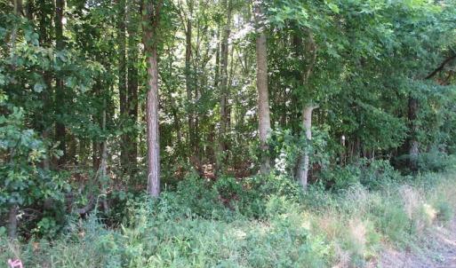 Photo of SOLD!!  3 Acres of Residential Land For Sale in Accomack County VA!