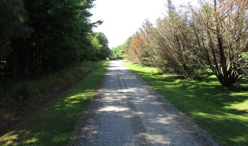 Photo of SOLD!!  3 Acres of Residential Land For Sale in Accomack County VA!