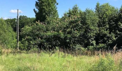 Photo of SOLD!! 8.33 Acres of  Hunting  Land For Sale in Halifax County VA!