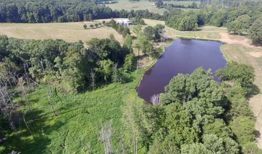 Photo of UNDER CONTRACT!!  125 Acres of Farmland For Sale in Charlotte County VA!