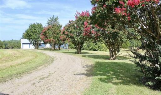 Photo of UNDER CONTRACT!!  125 Acres of Farmland For Sale in Charlotte County VA!