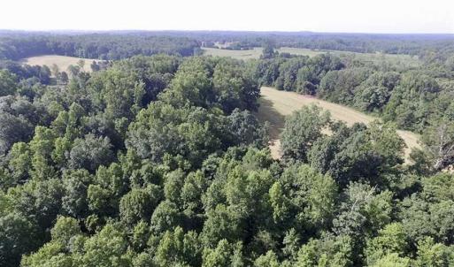 Photo of UNDER CONTRACT!!  125 Acres of Farmland For Sale in Charlotte County VA!