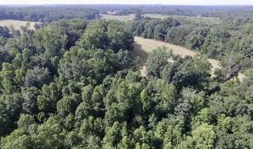 Photo of UNDER CONTRACT!!  125 Acres of Farmland For Sale in Charlotte County VA!
