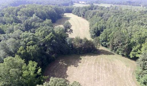 Photo of UNDER CONTRACT!!  125 Acres of Farmland For Sale in Charlotte County VA!