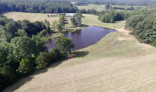 Photo of UNDER CONTRACT!!  125 Acres of Farmland For Sale in Charlotte County VA!