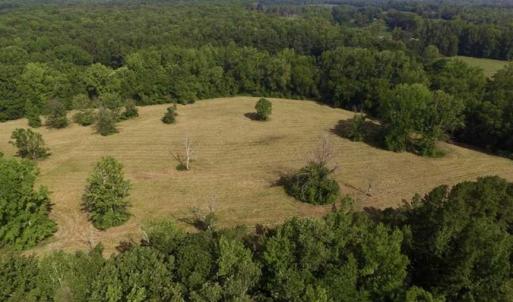 Photo of UNDER CONTRACT!!  125 Acres of Farmland For Sale in Charlotte County VA!