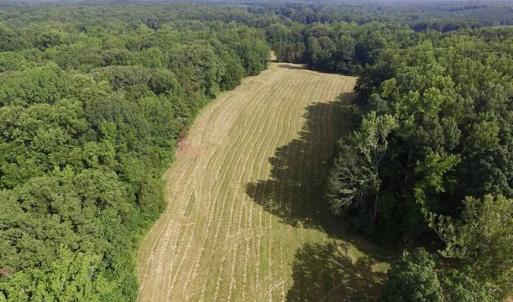 Photo of UNDER CONTRACT!!  125 Acres of Farmland For Sale in Charlotte County VA!