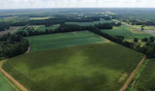 Photo of SOLD!!  38 Acres of Farm Land For Sale in Columbus County NC!