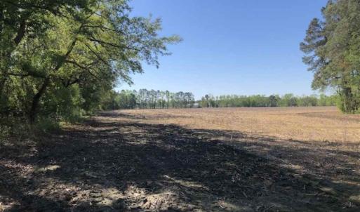 Photo of SOLD!!  38 Acres of Farm Land For Sale in Columbus County NC!