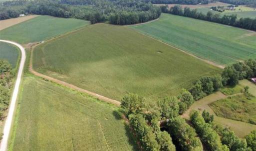 Photo of SOLD!!  38 Acres of Farm Land For Sale in Columbus County NC!