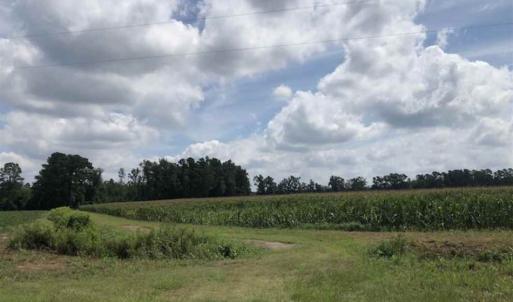 Photo of SOLD!!  38 Acres of Farm Land For Sale in Columbus County NC!
