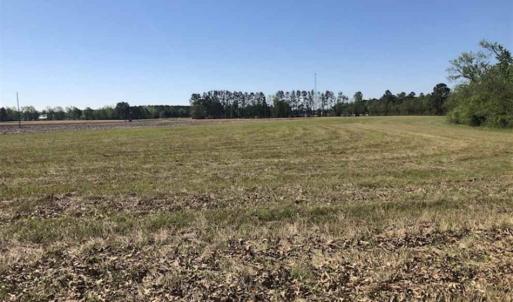 Photo of SOLD!!  38 Acres of Farm Land For Sale in Columbus County NC!