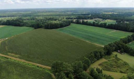Photo of SOLD!!  38 Acres of Farm Land For Sale in Columbus County NC!