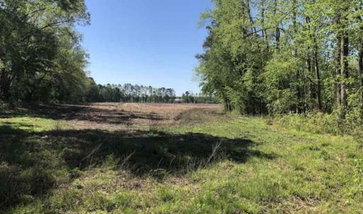 Photo of SOLD!!  38 Acres of Farm Land For Sale in Columbus County NC!