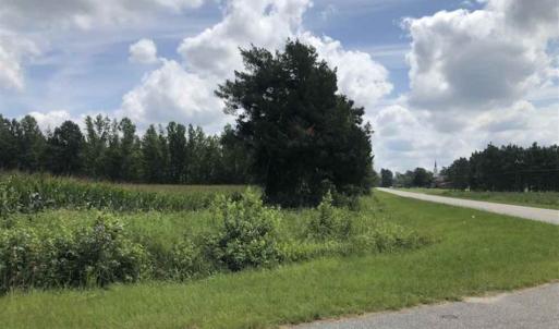 Photo of SOLD!!  38 Acres of Farm Land For Sale in Columbus County NC!