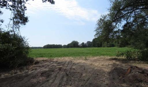 Photo of SOLD!!  70 Acres of Farm and Timber Land For Sale in Scotland County NC!