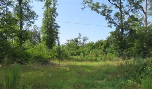 Photo of SOLD!!  70 Acres of Farm and Timber Land For Sale in Scotland County NC!