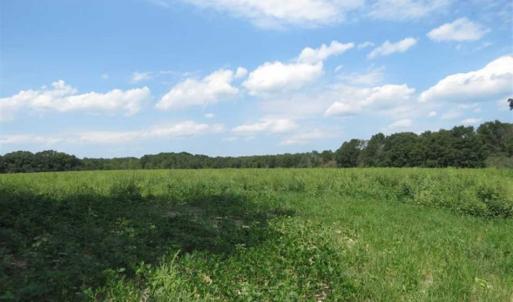 Photo of SOLD!!  70 Acres of Farm and Timber Land For Sale in Scotland County NC!