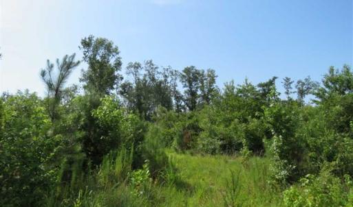 Photo of SOLD!!  70 Acres of Farm and Timber Land For Sale in Scotland County NC!