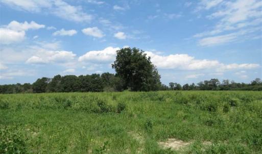 Photo of SOLD!!  70 Acres of Farm and Timber Land For Sale in Scotland County NC!