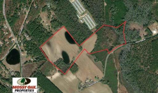 Photo of SOLD!!  70 Acres of Farm and Timber Land For Sale in Scotland County NC!