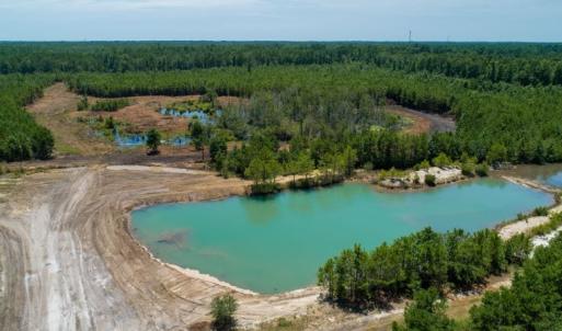 Photo of SOLD!  103.88 Acres of Hunting and Timber Land For Sale in Brunswick County NC!