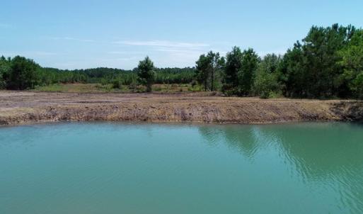 Photo of SOLD!  103.88 Acres of Hunting and Timber Land For Sale in Brunswick County NC!
