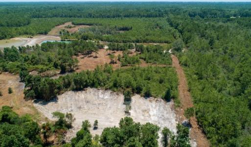 Photo of SOLD!  103.88 Acres of Hunting and Timber Land For Sale in Brunswick County NC!