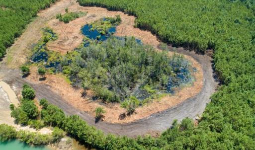 Photo of SOLD!  103.88 Acres of Hunting and Timber Land For Sale in Brunswick County NC!