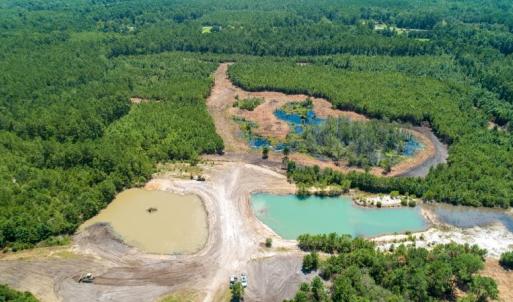 Photo of SOLD!  103.88 Acres of Hunting and Timber Land For Sale in Brunswick County NC!