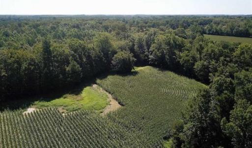Photo of UNDER CONTRACT!!  52.43 Acres of Hunting Farm and Timberland For Sale in Camden County NC!